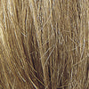 Finishing touch - Remy Human Hair, Topper
