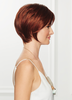 Contempo Cut