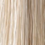 Creamy Blonde