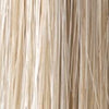 Creamy Blonde